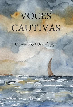 Carmen Pujol Usandizaga Voces cautivas обложка книги