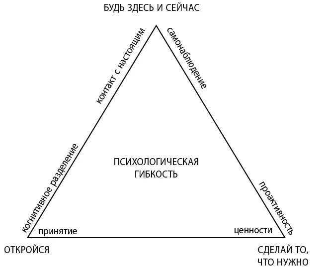 Трифлекс АСТ Самонаблюдение внутренний наблюдатель и контакт с настоящим - фото 2