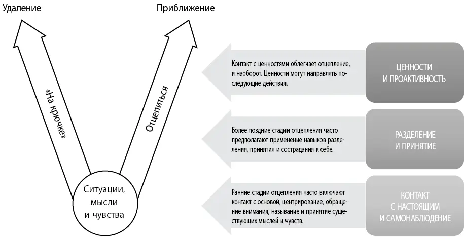 В дополнениеПожалуйста скачайте pdfфайл с сайта ACT Mindfully 12 ACT Made - фото 9
