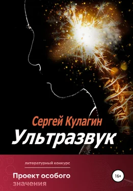 Сергей Кулагин Ультразвук обложка книги
