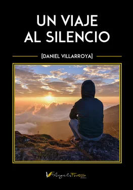 Daniel Villarroya Un viaje al silencio обложка книги