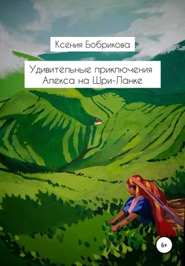 Ксения Бобрикова Удивительные приключения Алекса на Шри-Ланке обложка книги