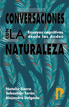 Alejandra Delgado Conversaciones con la naturaleza. Ensayos Cognitivos desde los Andes обложка книги