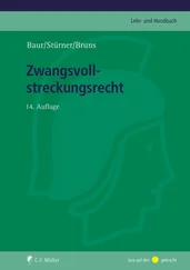 Alexander Bruns - Zwangsvollstreckungsrecht, eBook