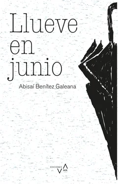 Abisaí Benítez Galeana Llueve en junio обложка книги