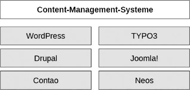 Abbildung 9 ContentManagementSysteme Ein ContentManagementSystem CMS - фото 259
