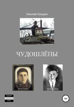 Николай Кокурин Чудошлёпы обложка книги