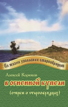 Алексей Корюков В огненной купели обложка книги