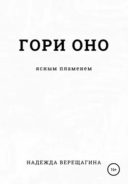 Надежда Верещагина Гори оно ясным пламенем обложка книги