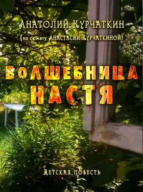 Анатолий Курчаткин Волшебница Настя обложка книги