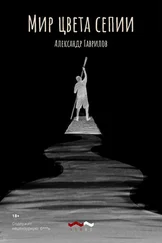 Александр Гаврилов - Мир цвета сепии