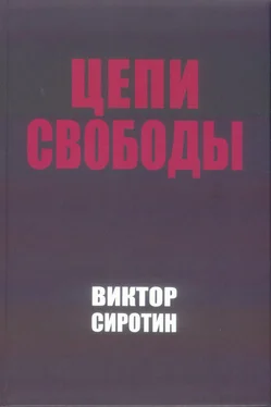 Виктор Сиротин Цепи свободы. Опыт философского осмысления истории