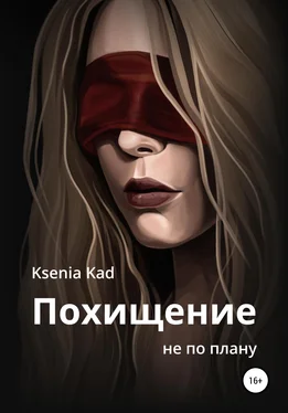 Ksenia Kad Похищение не по плану обложка книги