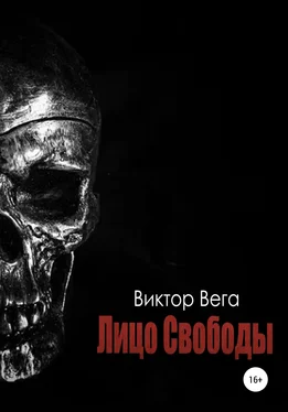 Виктор Вега Лицо Свободы обложка книги