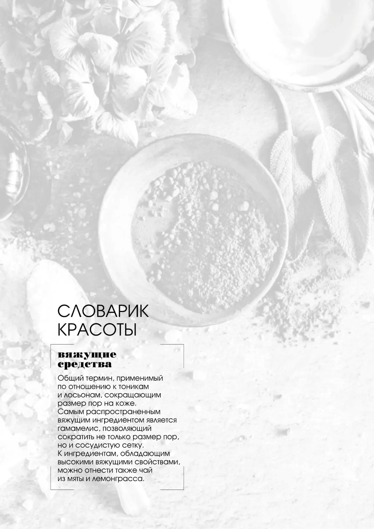 Планер косметолога - фото 65