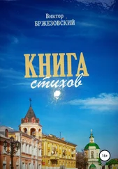 Виктор Бржезовский - Книга стихов