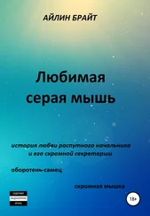 Айлин Брайт - Любимая серая мышь