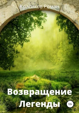Роман Красиков Возвращение Легенды обложка книги