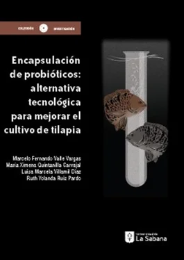 Marcelo Fernando Valle Vargas Encapsulación de probióticos обложка книги