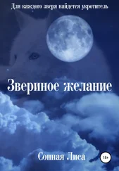 Сонная Лиса - Звериное желание