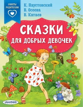 Валентин Катаев Сказки для добрых девочек обложка книги