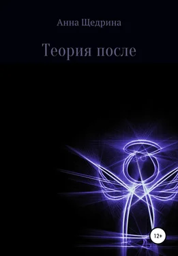 Анна Щедрина Теория после обложка книги