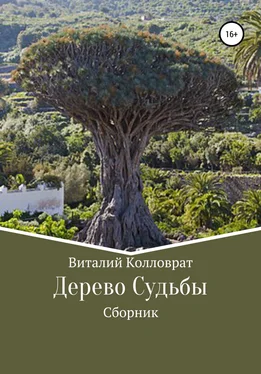 Виталий Колловрат Дерево Судьбы обложка книги