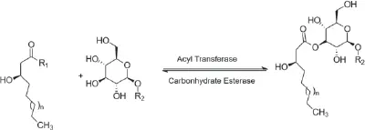 Figure 13 Hydrolysis of sugarlipid ester bonds from glycolipids R 1 - фото 4