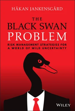 Håkan Jankensgård The Black Swan Problem обложка книги