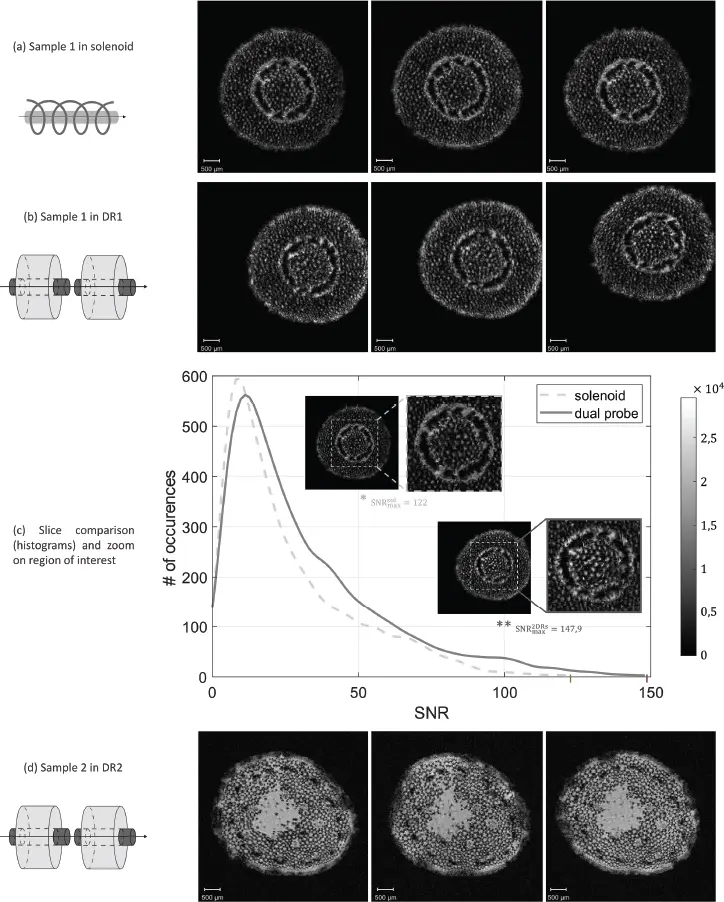 Figure 217 MR images of plant petioles using a solenoid coil and a ceramic - фото 58