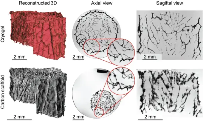 Figure 18 Porosity and connectivity analysis of a neuronal scaffold using - фото 11