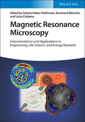 Magnetic Resonance Microscopy
