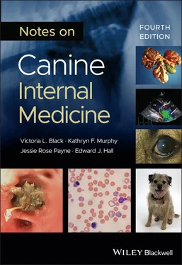 Kathryn F. Murphy Notes on Canine Internal Medicine обложка книги