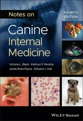 Kathryn F. Murphy - Notes on Canine Internal Medicine