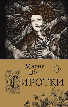 Мария Вой Сиротки обложка книги