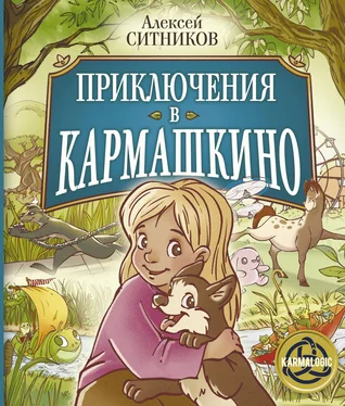 Алексей Ситников Приключения в Кармашкино обложка книги