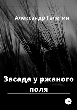 Александр Телегин Засада у ржаного поля обложка книги