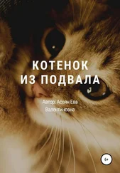 Ева Асоян - Котенок из подвала