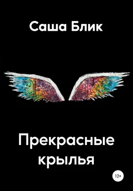 Саша Блик Прекрасные крылья обложка книги