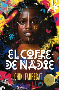 Chiki Fabregat (Esperanza Fabregat) El cofre de Nadie обложка книги