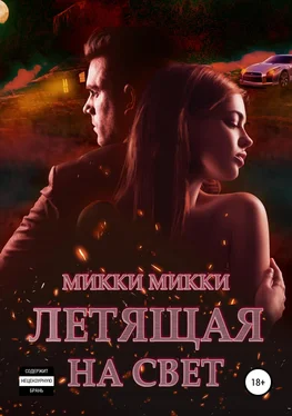 Микки Микки Летящая на свет обложка книги