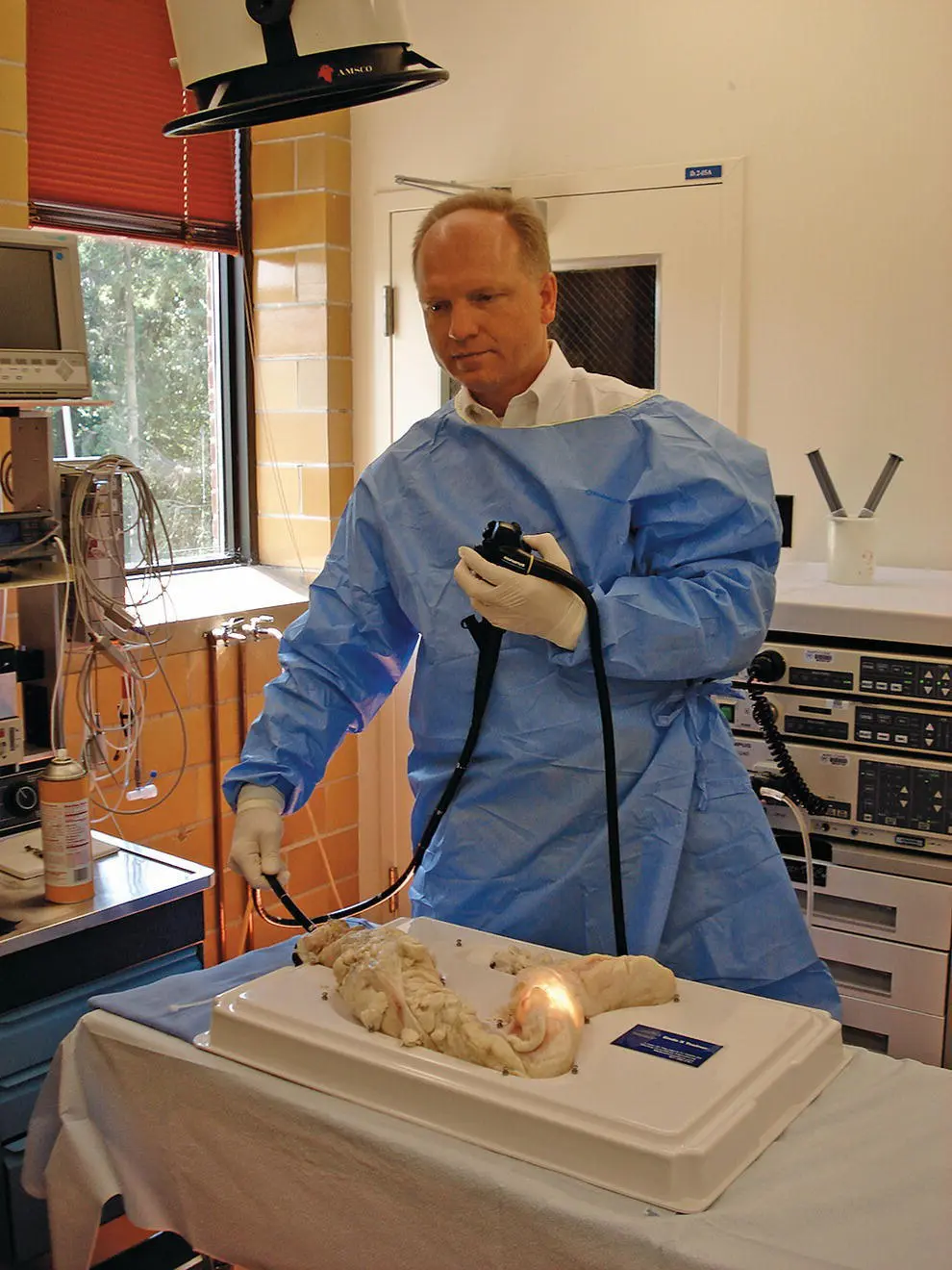 Figure 634 An endoscopist practices on an ex vivo bovine colon model For - фото 93