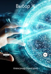 Александр Мансуров - Выбор Ж