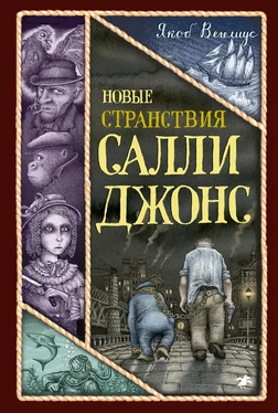 Якоб Вегелиус Новые странствия Салли Джонс обложка книги