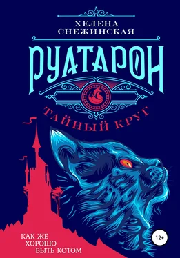 Хелена Снежинская Руатарон. Тайный круг обложка книги