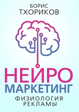 Борис Тхориков Нейромаркетинг. Физиология рекламы обложка книги