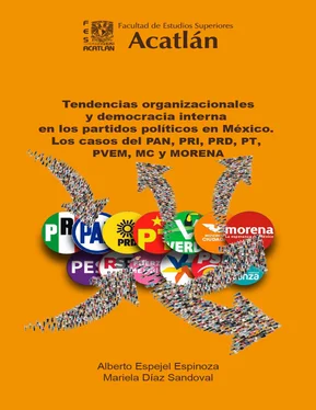 Alberto Espejel Espinoza Tendencias organizacionales y democracia interna en los partidos políticos en México обложка книги