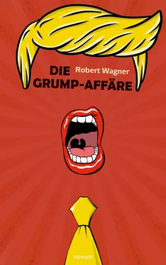 Robert Wagner Die Grump-Affäre обложка книги