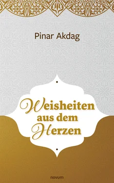 Pinar Akdag Weisheiten aus dem Herzen обложка книги