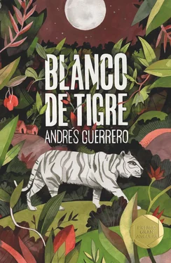 Andrés Guerrero Blanco de tigre обложка книги